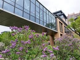 HIT campus glass bridge