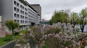 HIT campus spring flowers